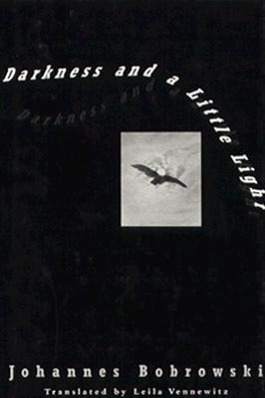 Vorderes Coverbild Darkness and a Little Light