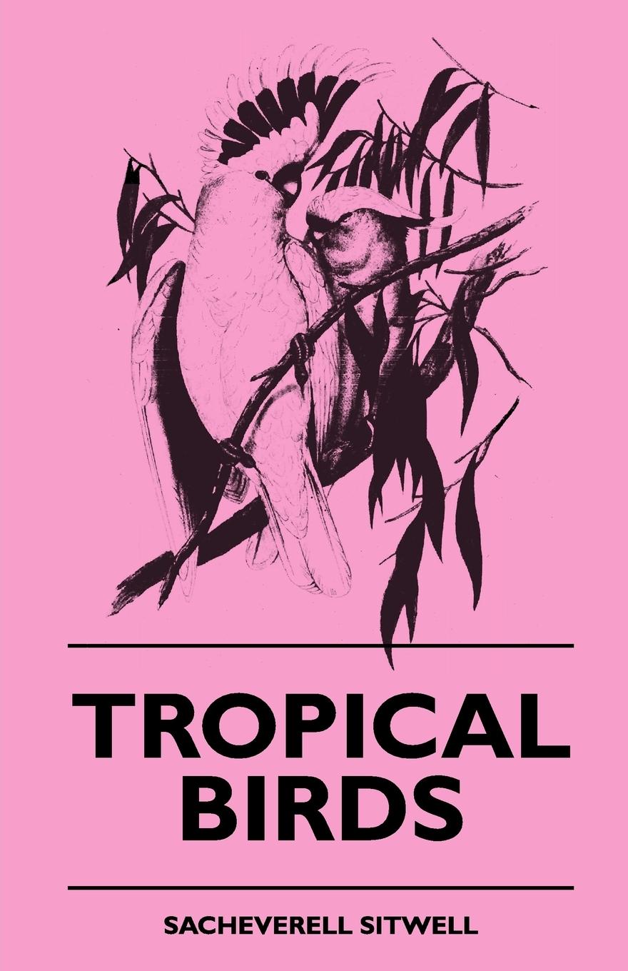 Vorderes Coverbild Tropical Birds