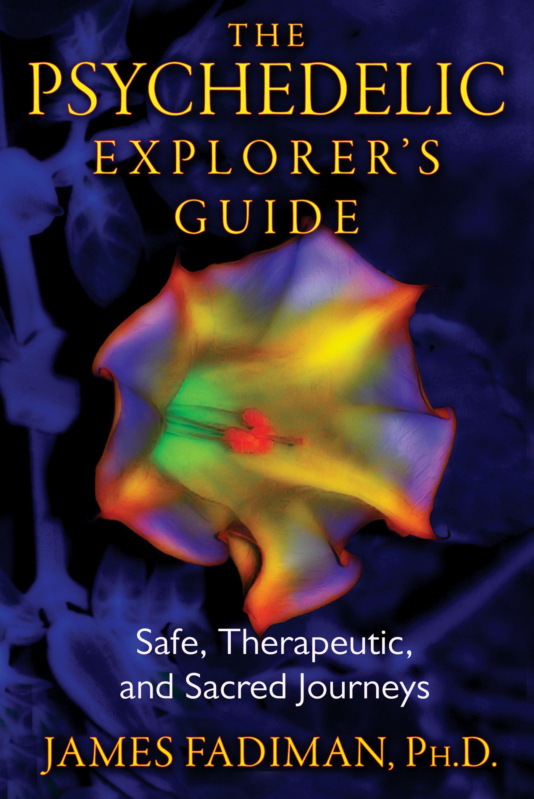 Vorderes Coverbild The Psychedelic Explorer's Guide