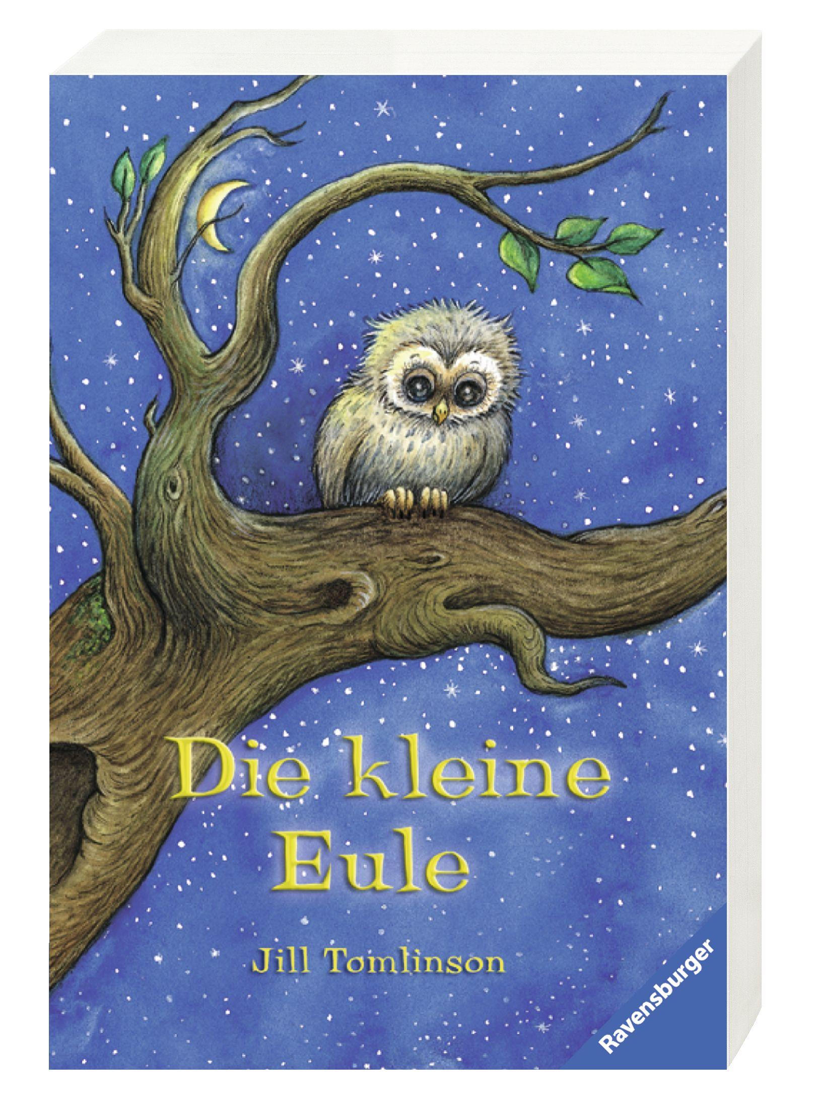 Beispielinhalt (Bild) Die kleine Eule
