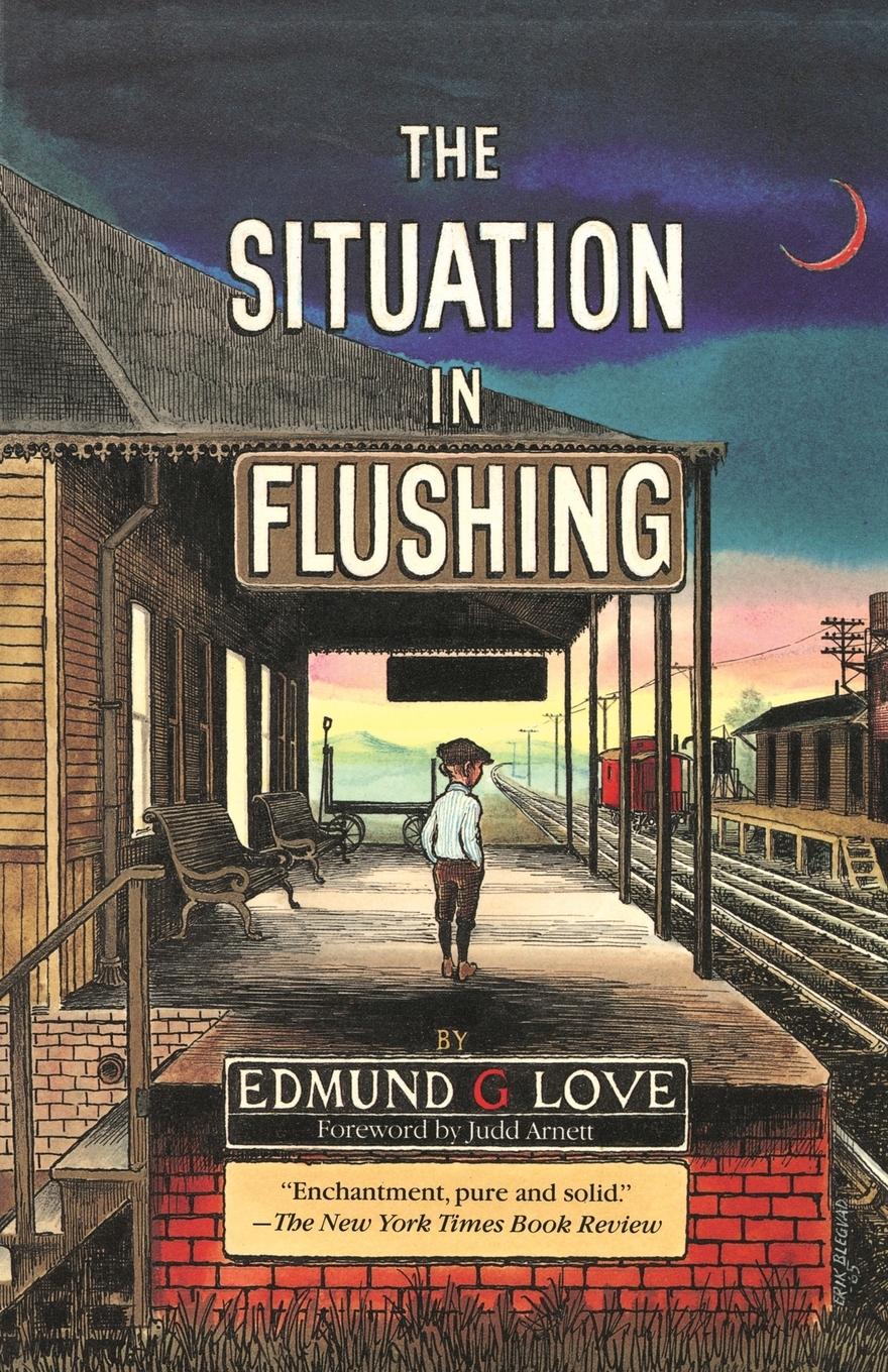 Vorderes Coverbild Situation in Flushing