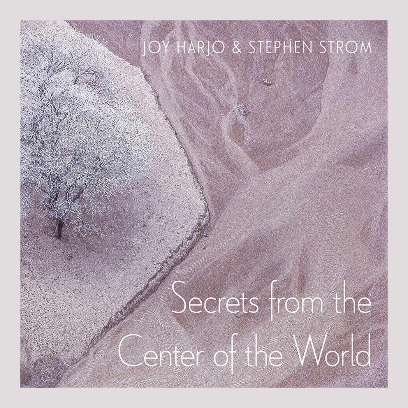 Vorderes Coverbild Secrets from the Center of the World