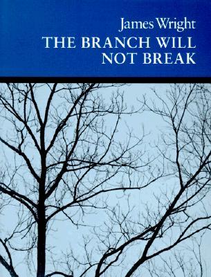 Vorderes Coverbild The Branch Will Not Break