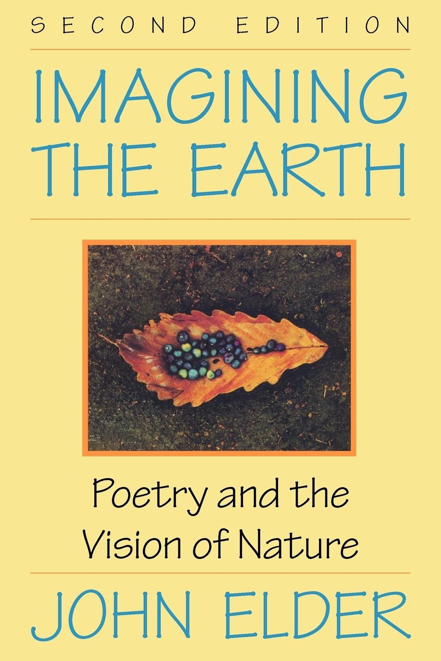 Vorderes Coverbild Imagining the Earth