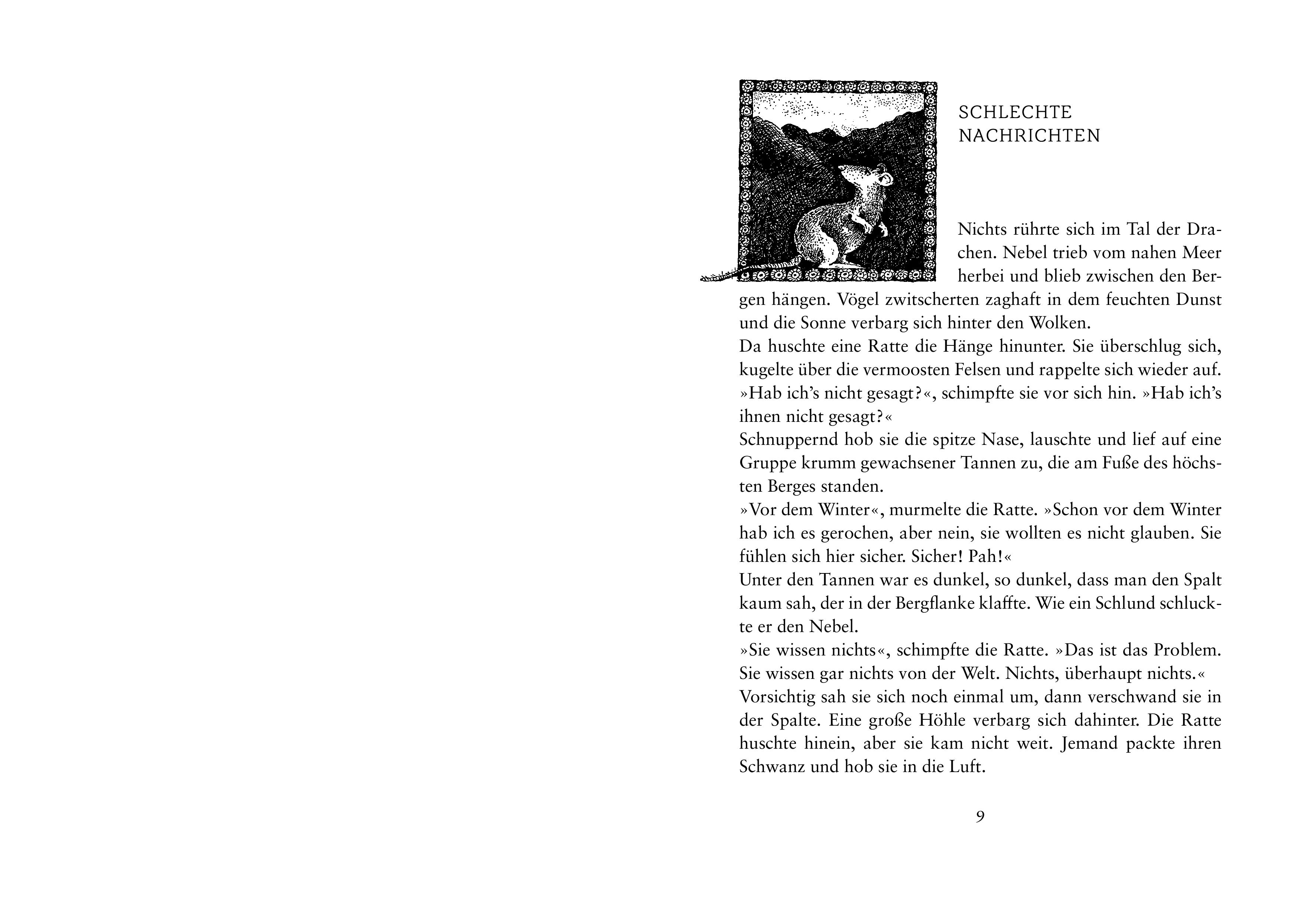 Beispielinhalt (Bild) Drachenreiter 1