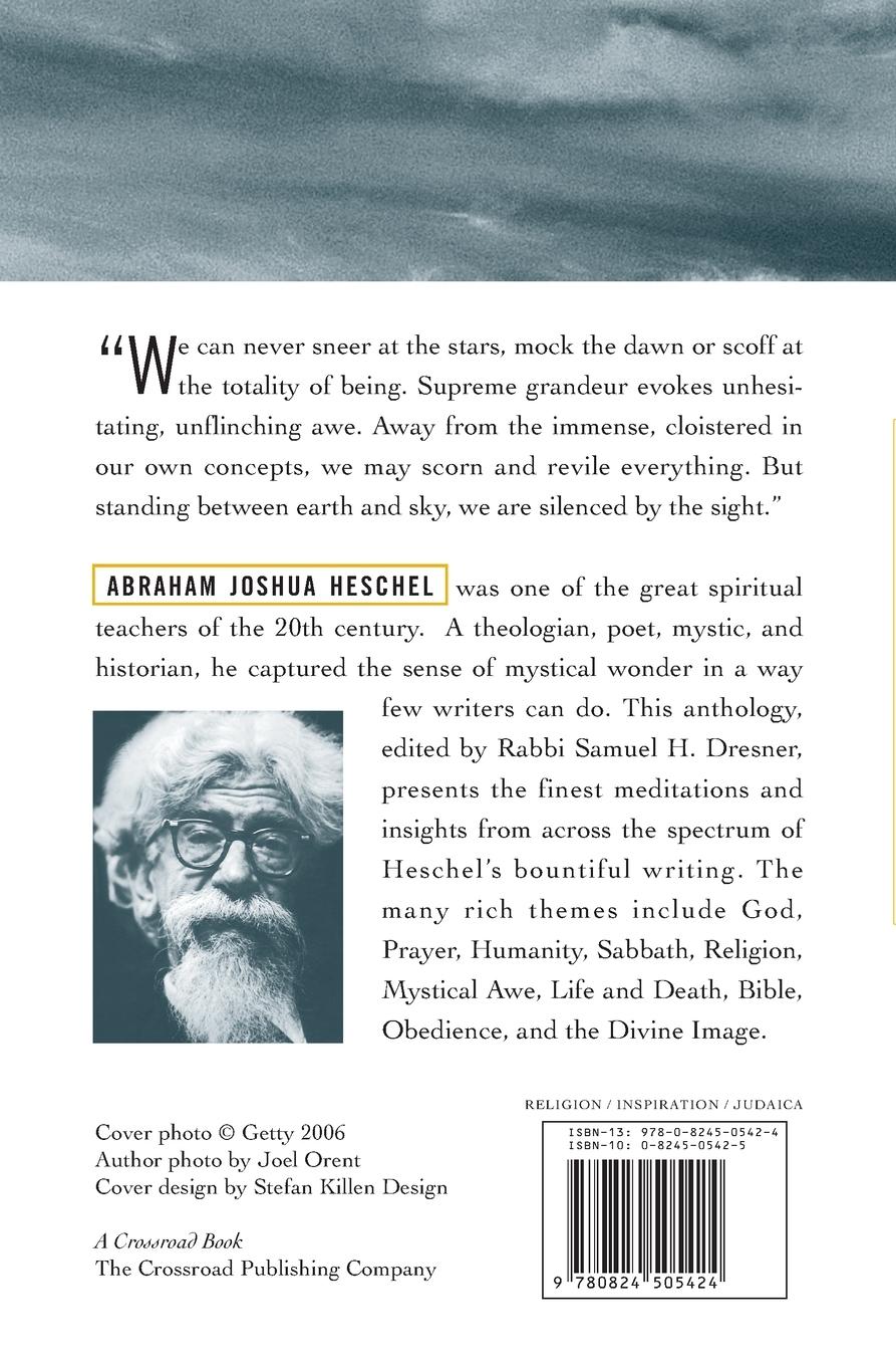 Rückseitencover I Asked for Wonder