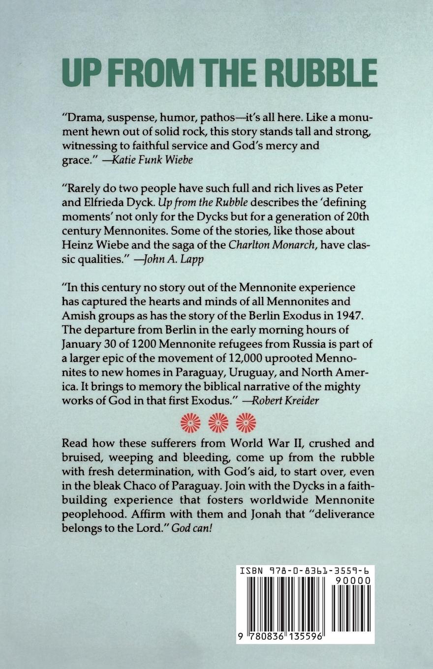 Rückseitencover Up from the Rubble