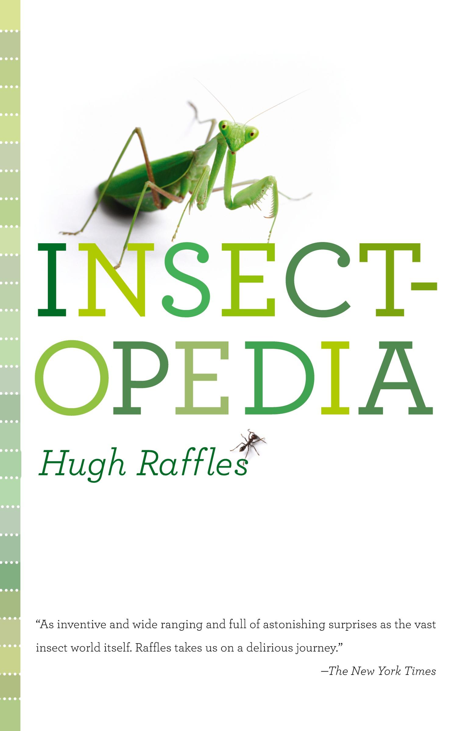 Vorderes Coverbild Insectopedia