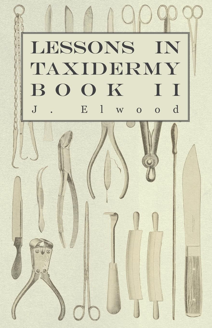 Vorderes Coverbild Lessons in Taxidermy - A Comprehensive Treatise on Collecting and Preserving all Subjects of Natural History - Book II.