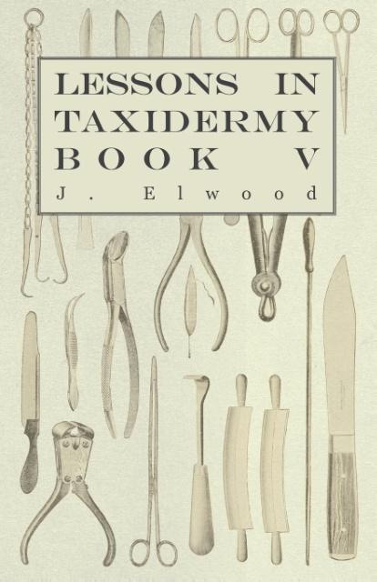 Vorderes Coverbild Lessons in Taxidermy - A Comprehensive Treatise on Collecting and Preserving All Subjects of Natural History - Book V.