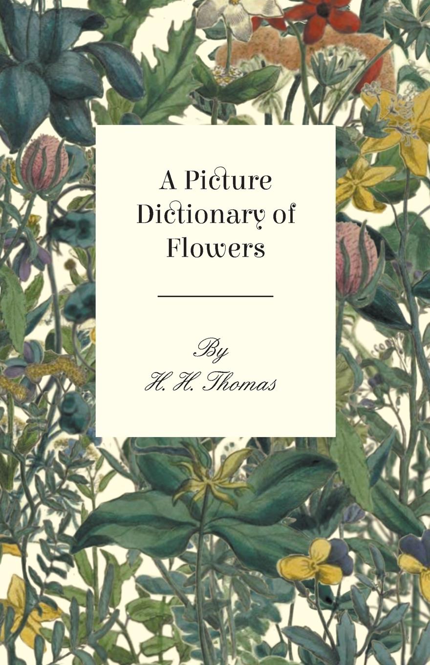 Vorderes Coverbild A Picture Dictionary of Flowers