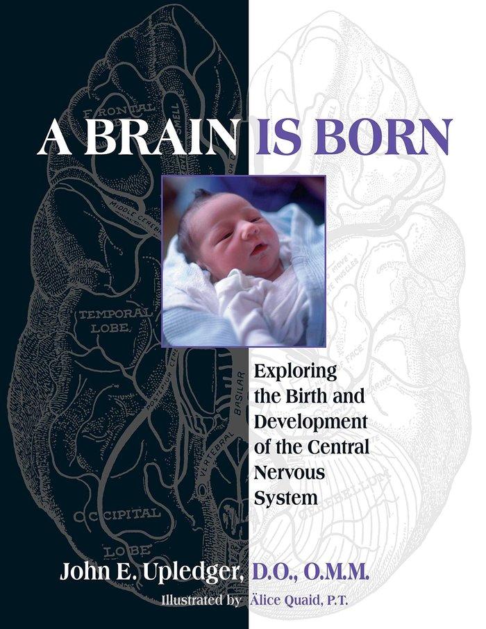 Vorderes Coverbild A Brain Is Born