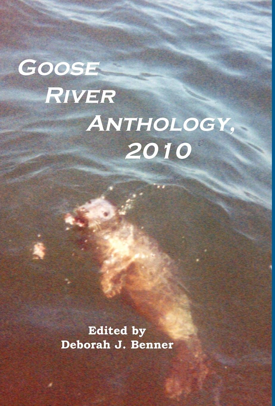 Vorderes Coverbild Goose River Anthology, 2010