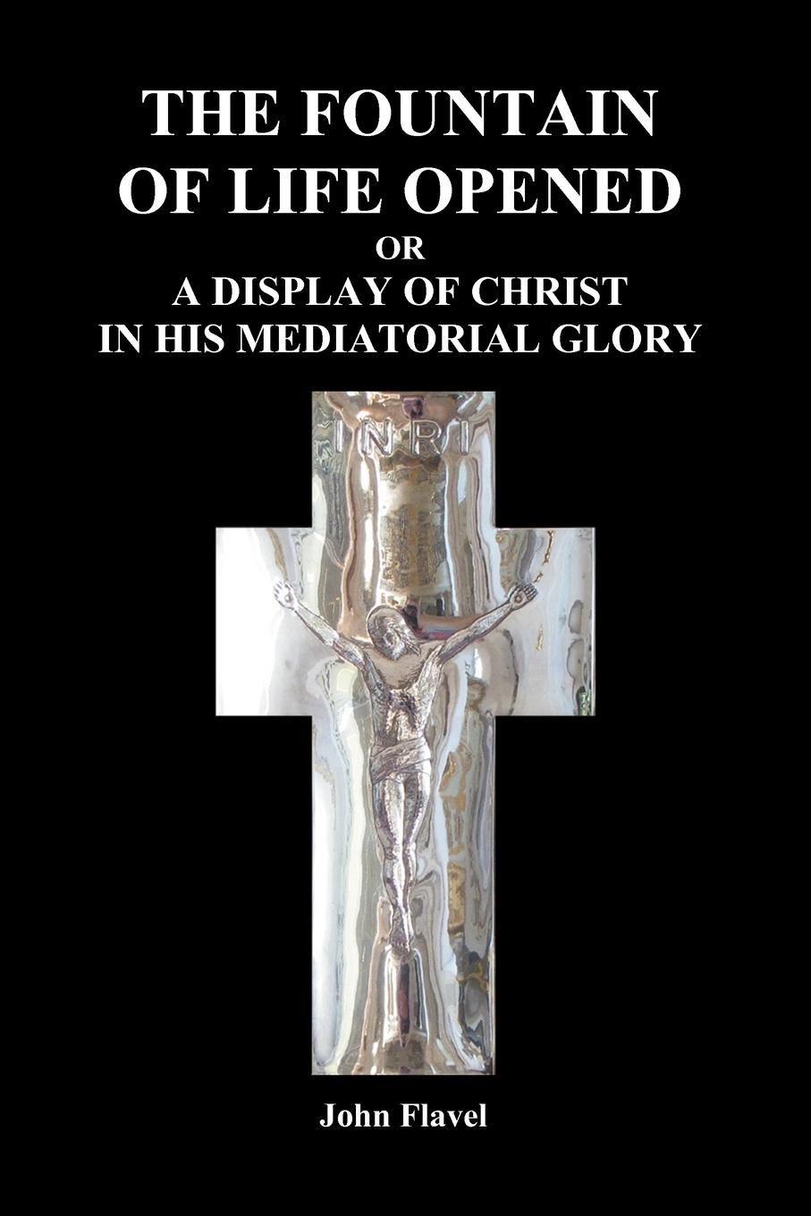 Vorderes Coverbild The Fountain of Life Opened (Paperback)