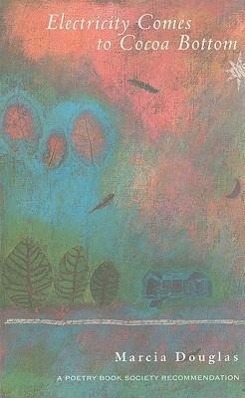 Vorderes Coverbild Electricity Comes to Cocoa Bottom