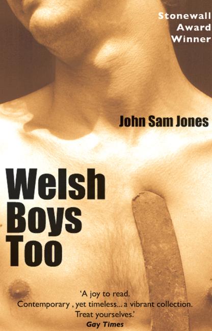 Vorderes Coverbild Welsh Boys Too