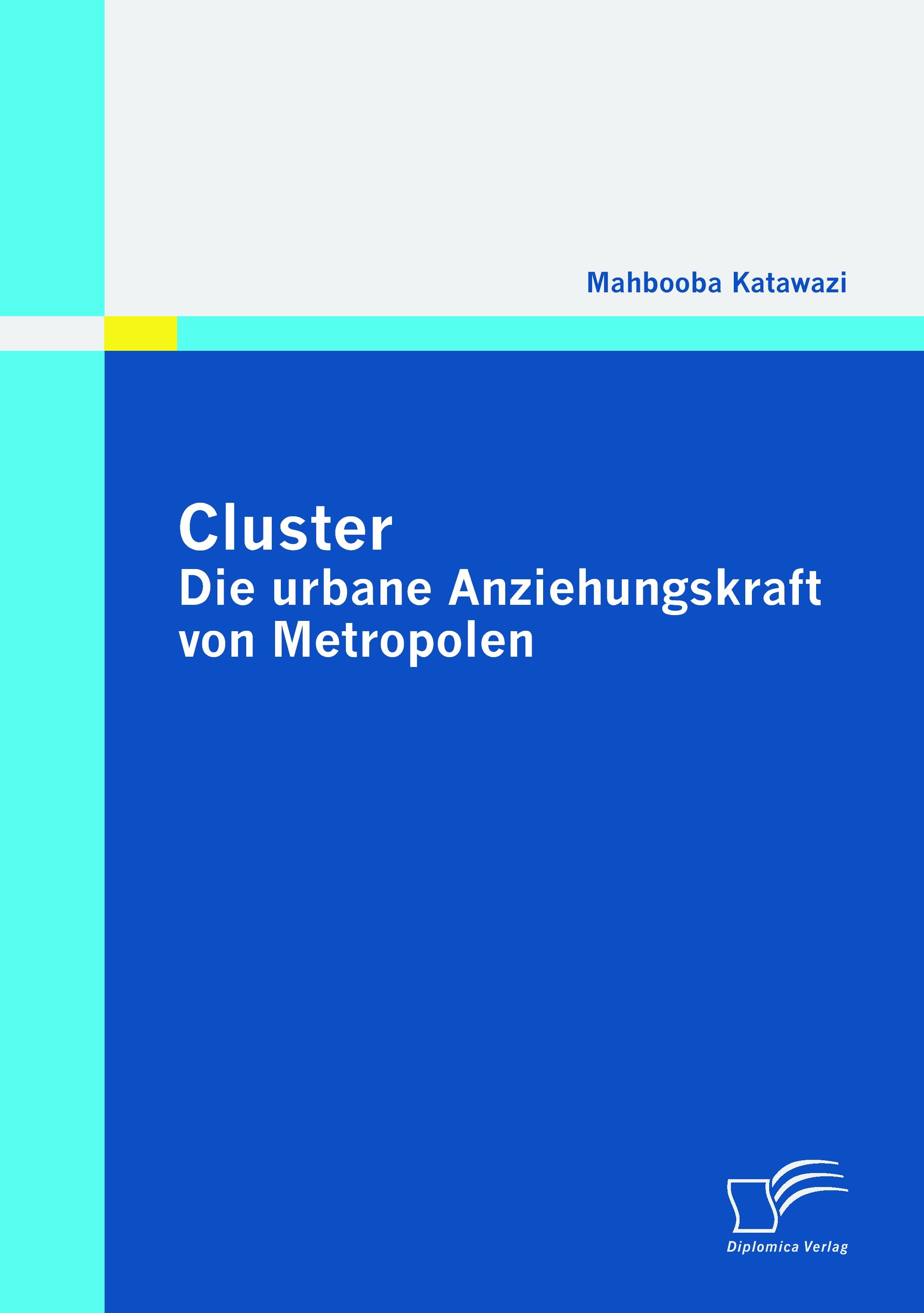 Vorderes Coverbild Cluster: Die urbane Anziehungskraft von Metropolen