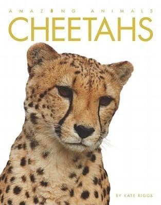 Vorderes Coverbild Cheetahs