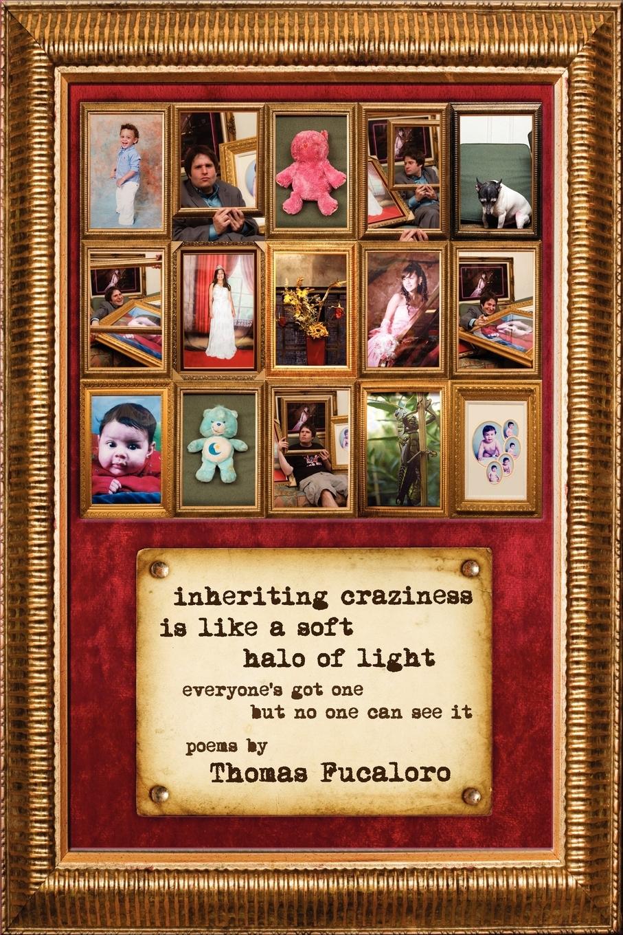 Vorderes Coverbild Inheriting Craziness Is Like a Soft Halo of Light