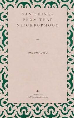 Vorderes Coverbild Vanishings from That Neighborhood
