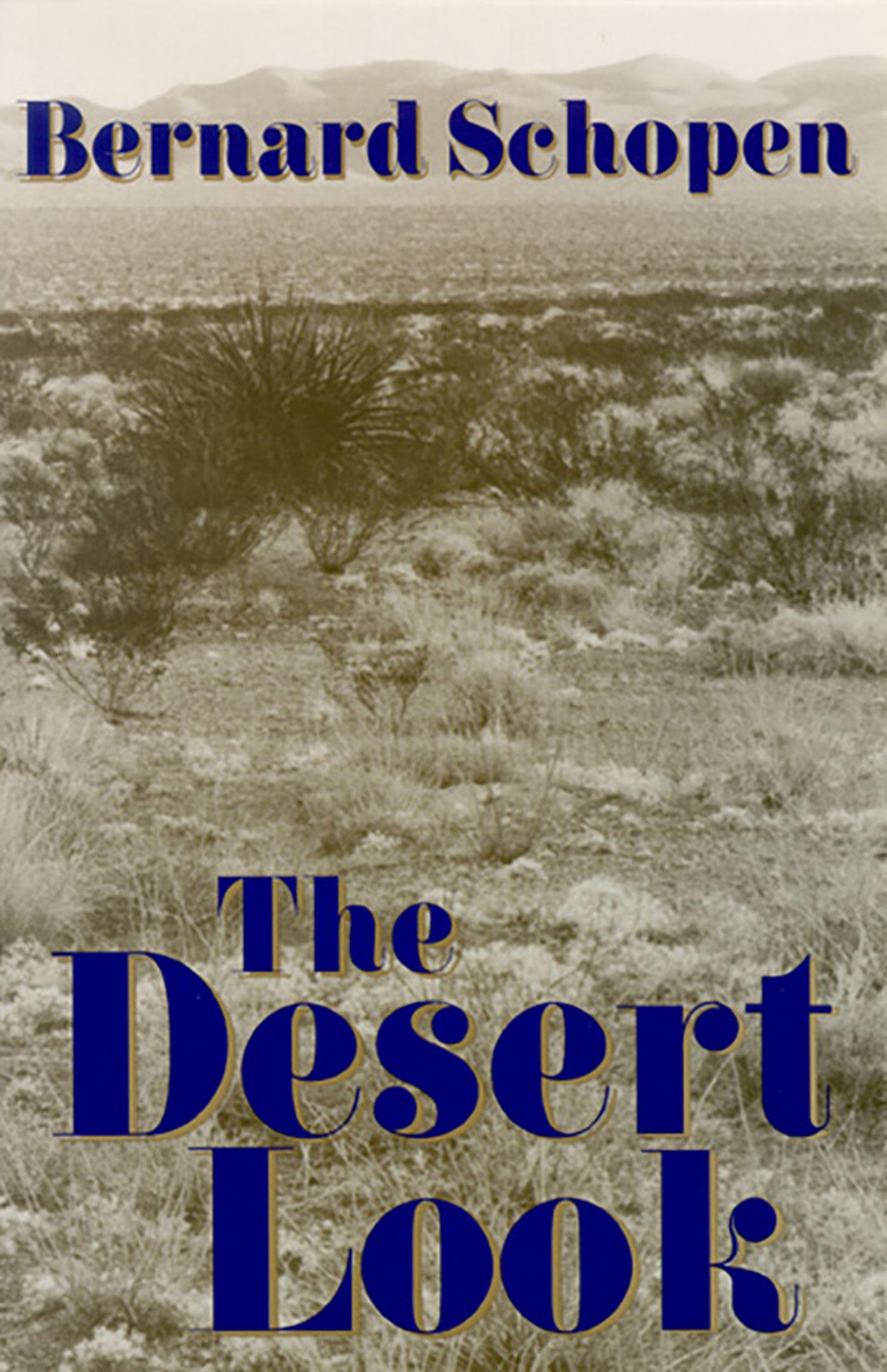 Vorderes Coverbild The Desert Look