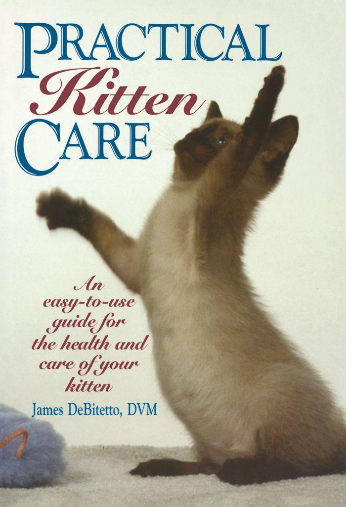 Vorderes Coverbild Practical Kitten Care