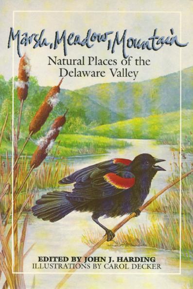 Vorderes Coverbild Marsh Meadow Mountain