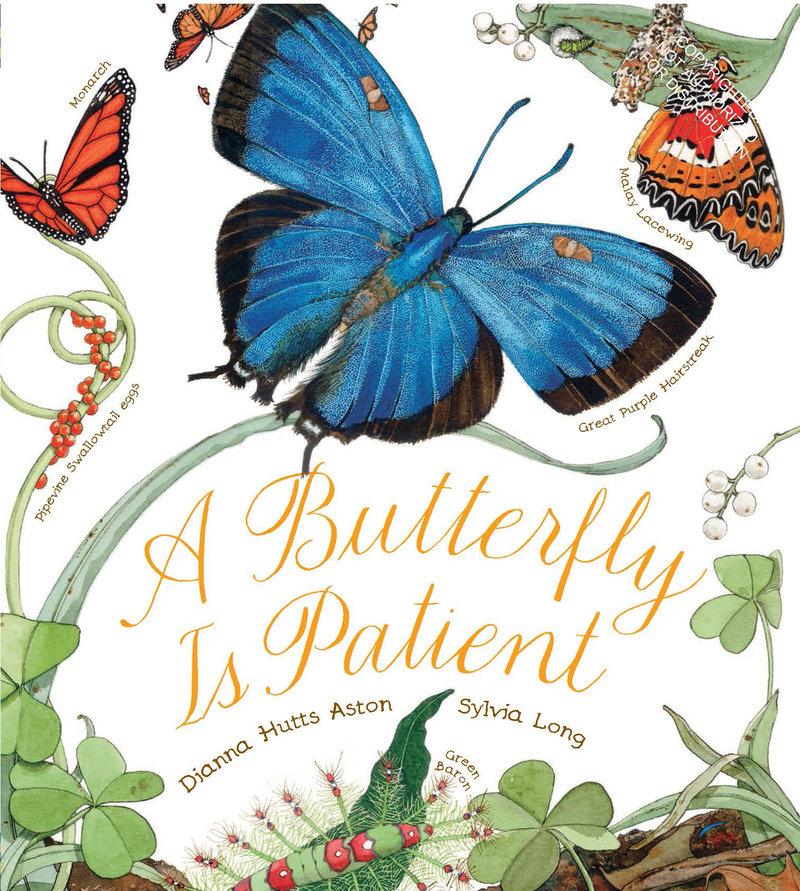 Vorderes Coverbild A Butterfly Is Patient