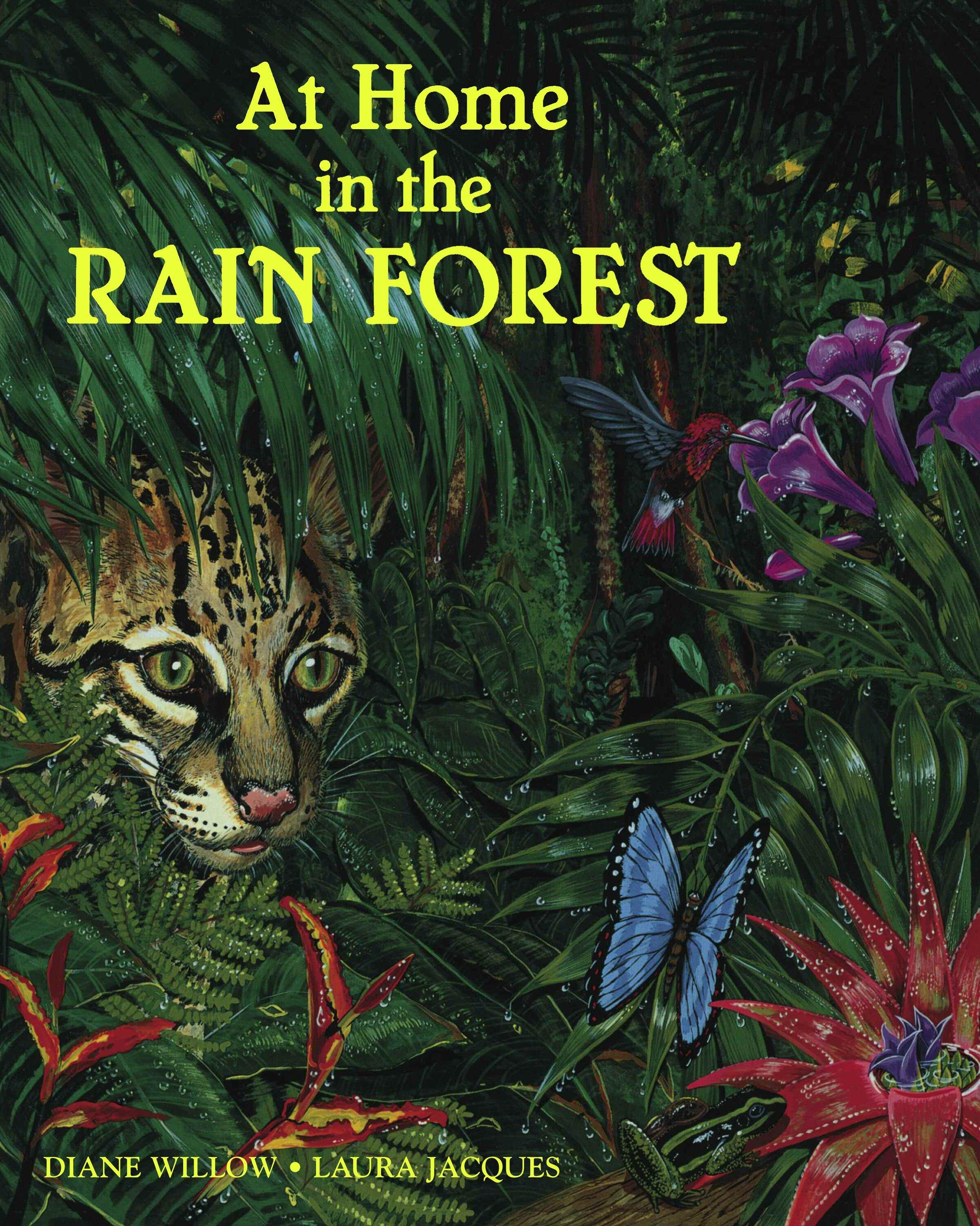 Vorderes Coverbild At Home in the Rain Forrest
