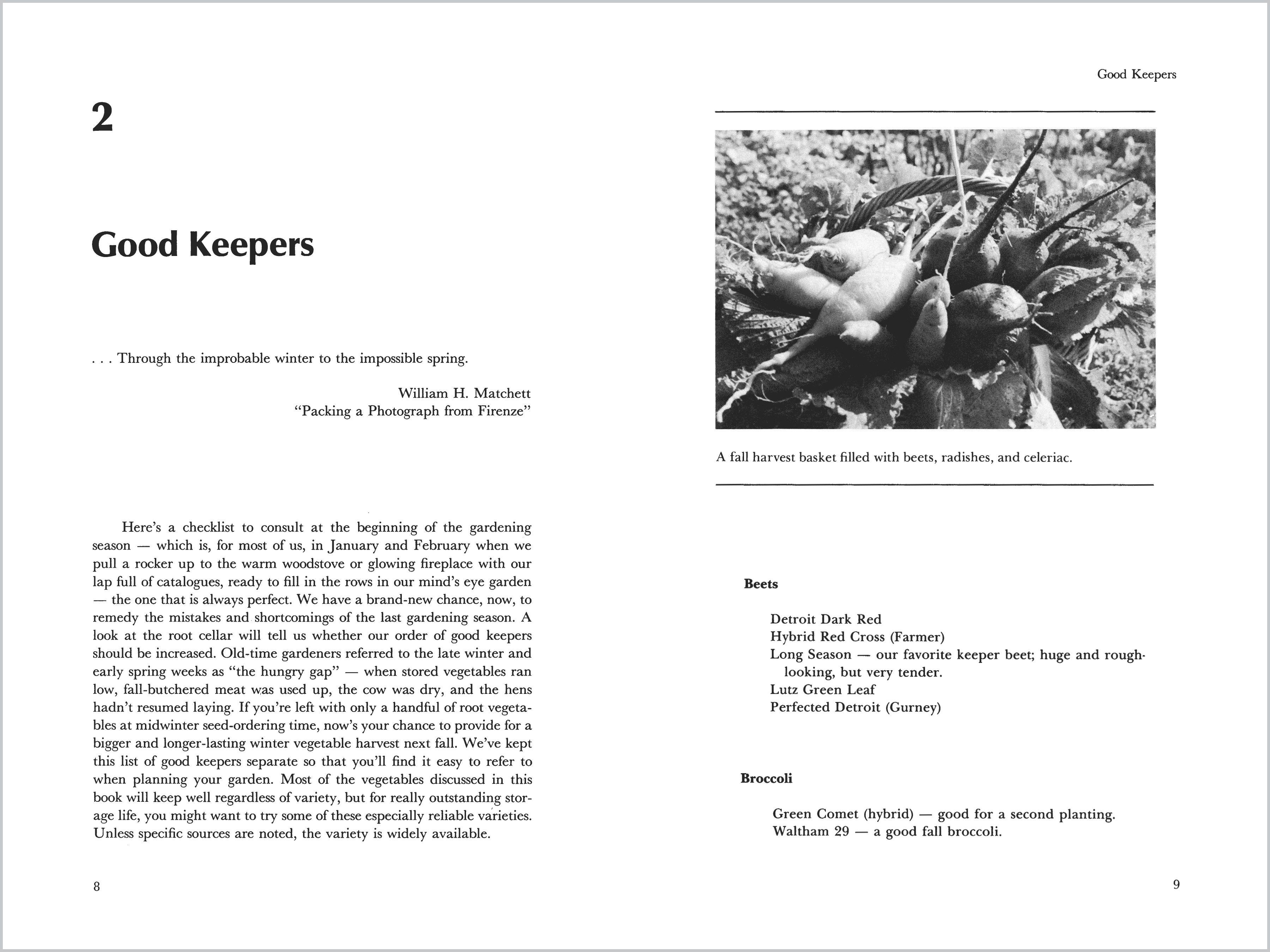 Beispielinhalt (Bild) Root Cellaring