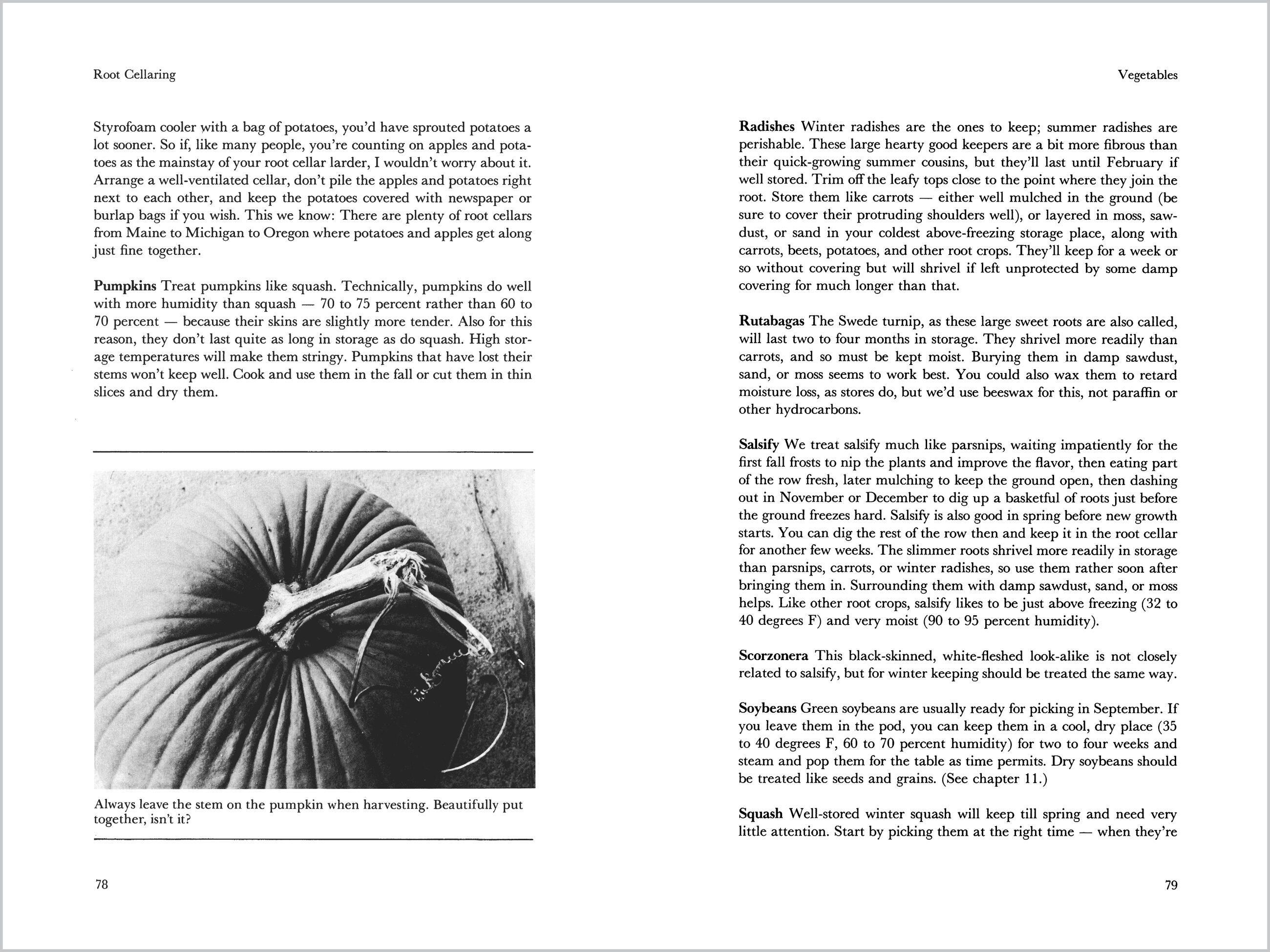 Beispielinhalt (Bild) Root Cellaring