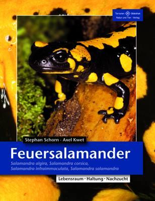 Vorderes Coverbild Feuersalamander