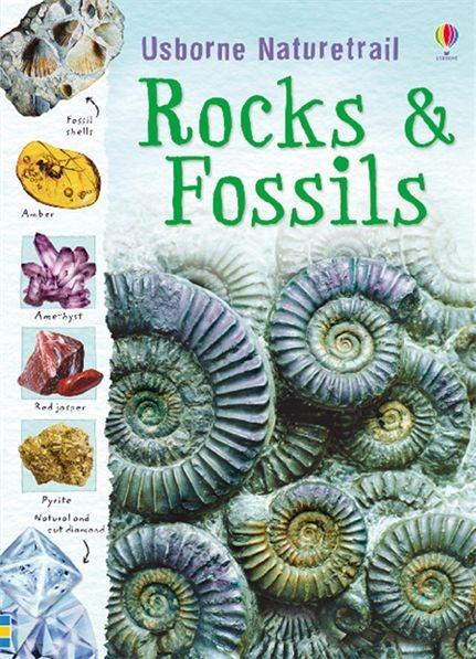 Vorderes Coverbild Rocks and Fossils