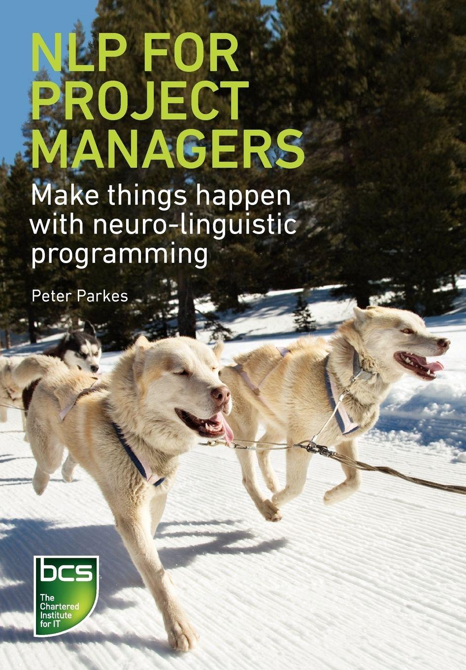 Vorderes Coverbild NLP for Project Managers