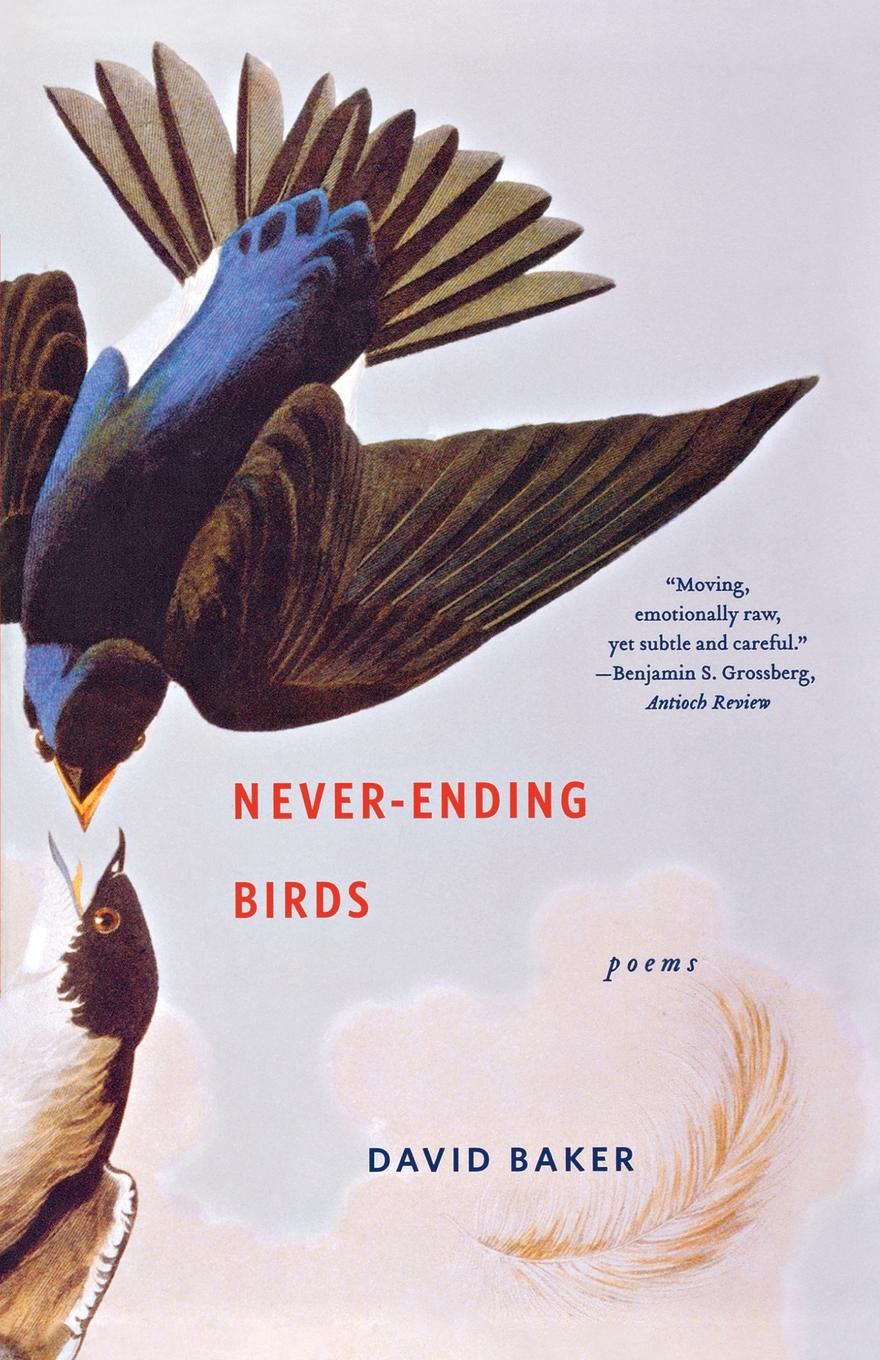 Vorderes Coverbild Never-Ending Birds