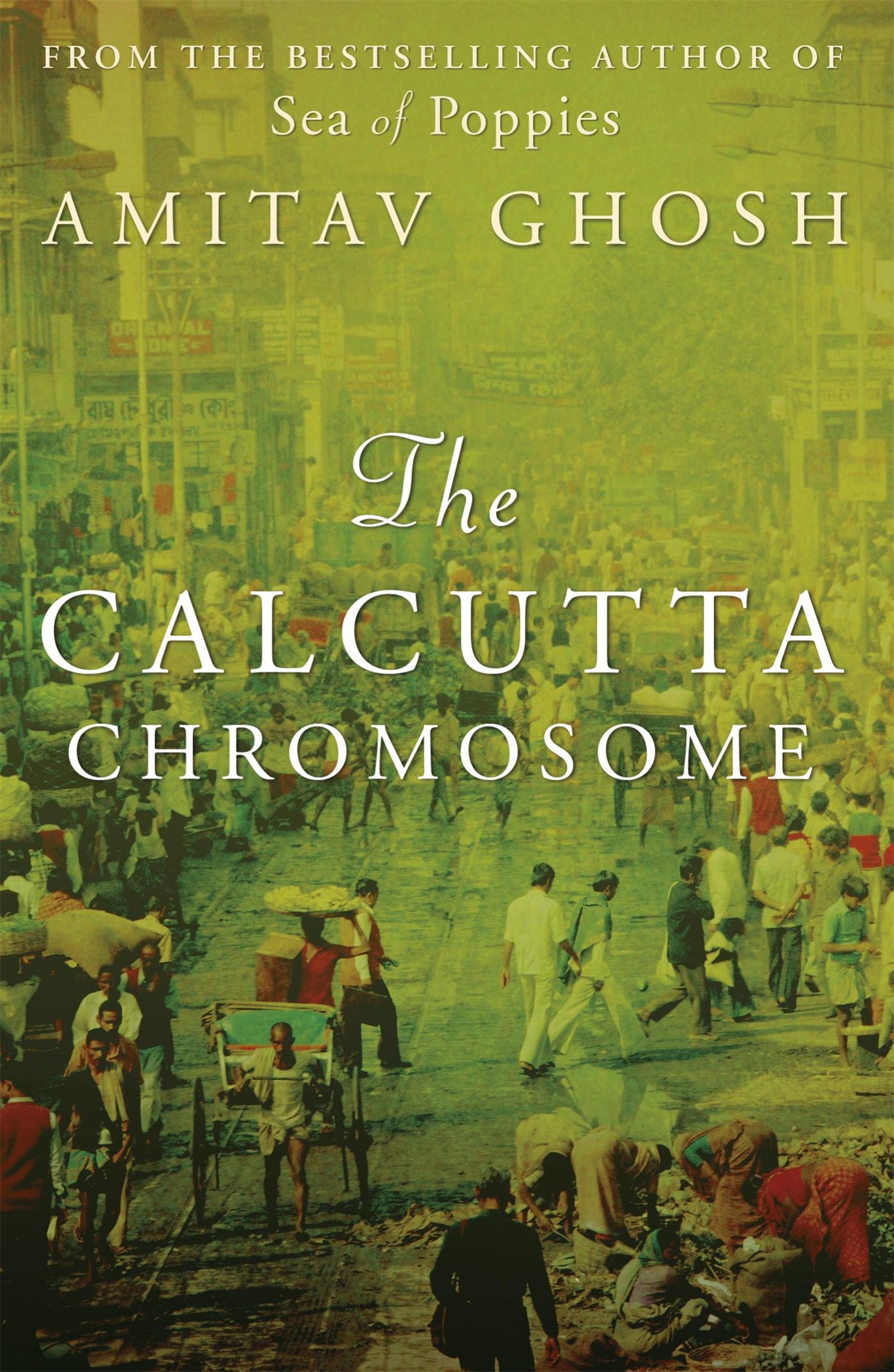 Vorderes Coverbild The Calcutta Chromosome