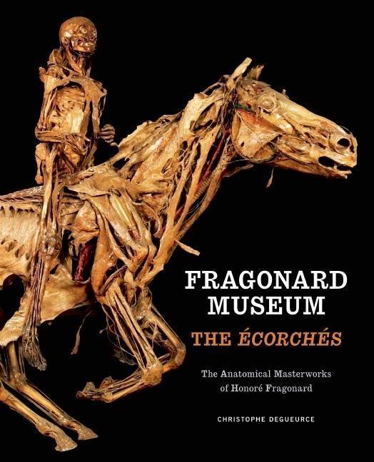 Vorderes Coverbild Fragonard Museum: The Écorchés