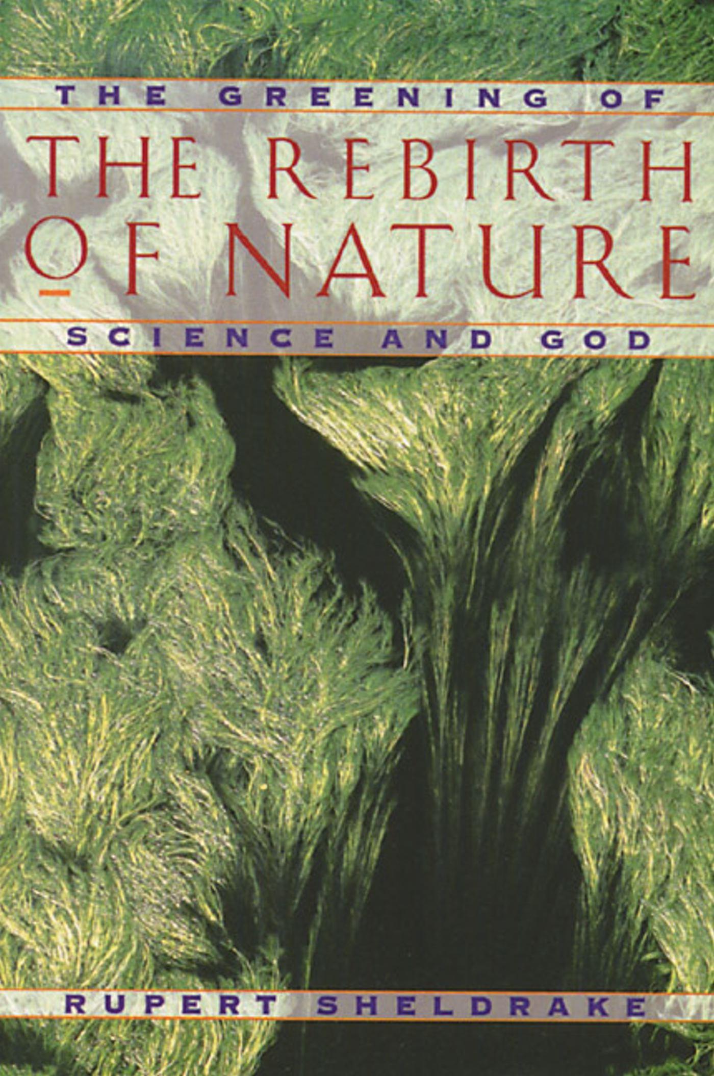 Vorderes Coverbild The Rebirth of Nature: The Greening of Science and God