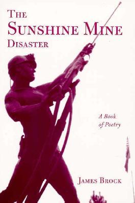 Vorderes Coverbild The Sunshine Mine Disaster: A Book of Poetry