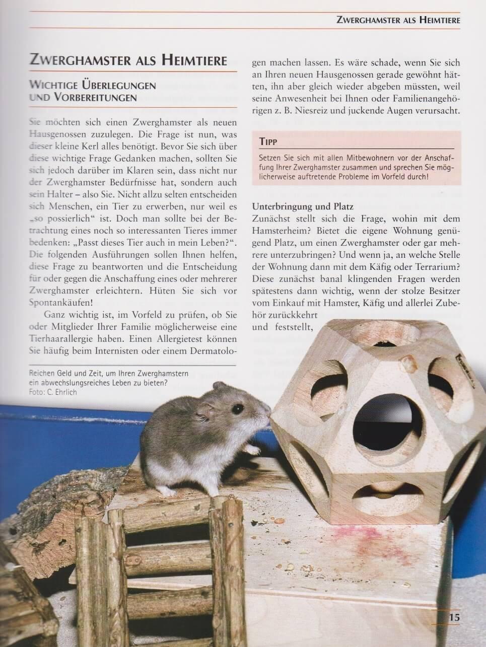 Beispielinhalt (Bild) Zwerghamster