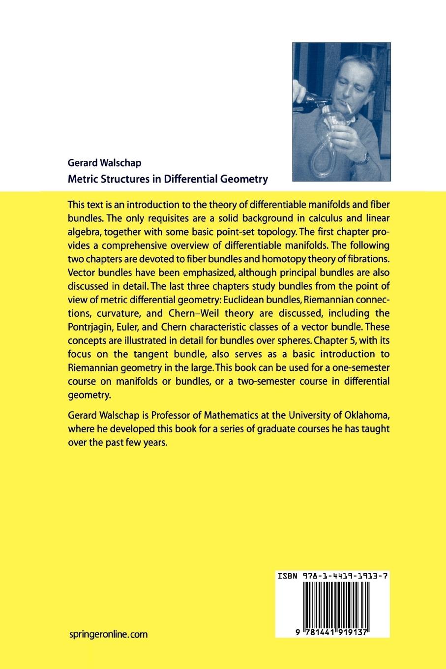 Rückseitencover Metric Structures in Differential Geometry