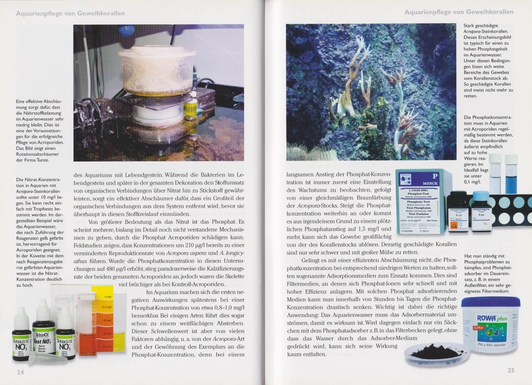Beispielinhalt (Bild) Art für Art 15. Acropora-Geweihkorallen
