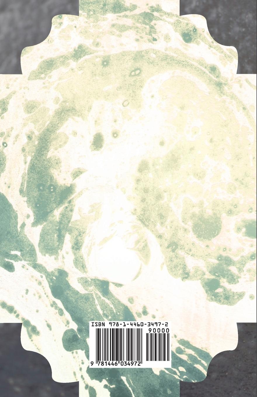 Rückseitencover Faraday as a Discoverer
