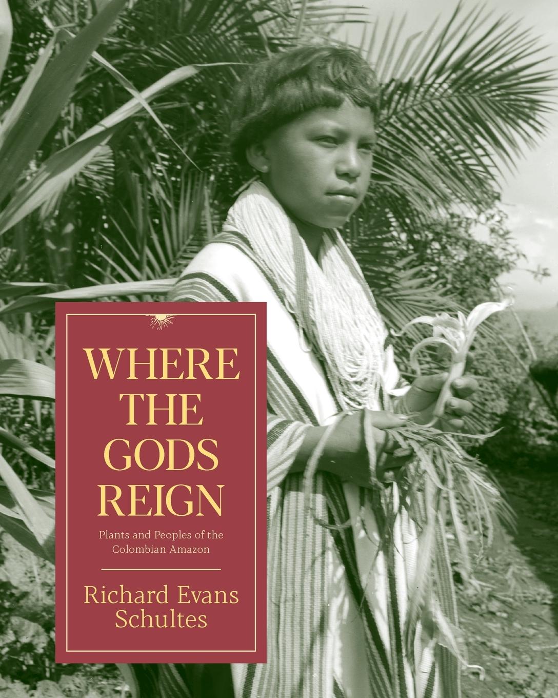 Vorderes Coverbild Where the Gods Reign