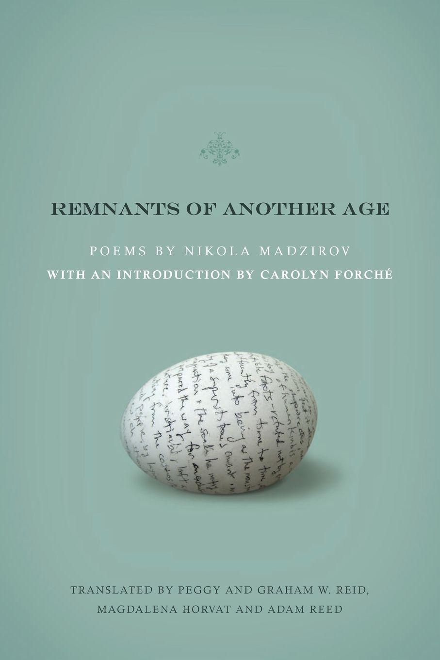 Vorderes Coverbild Remnants of Another Age