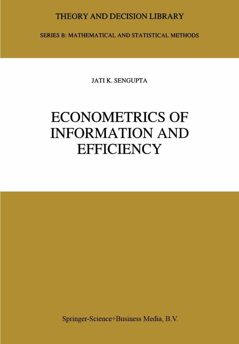 Vorderes Coverbild Econometrics of Information and Efficiency