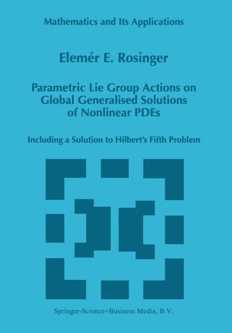 Vorderes Coverbild Parametric Lie Group Actions on Global Generalised Solutions of Nonlinear PDEs