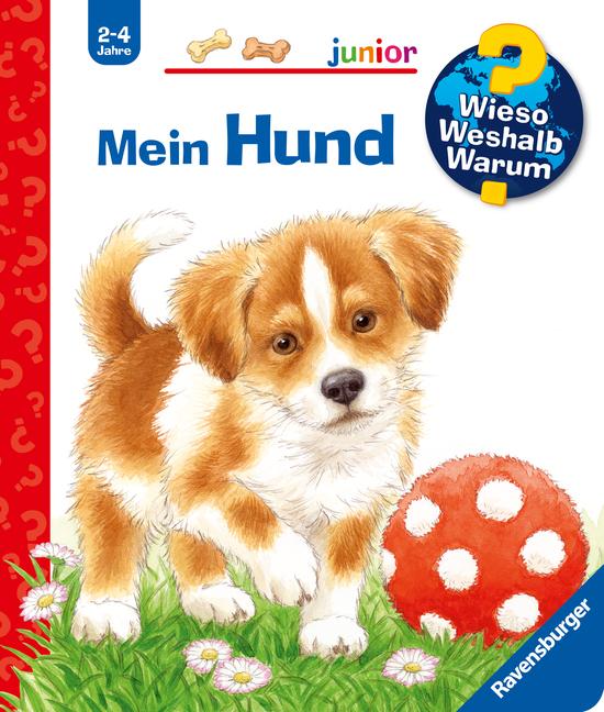Vorderes Coverbild Wieso? Weshalb? Warum? junior, Band 41: Mein Hund