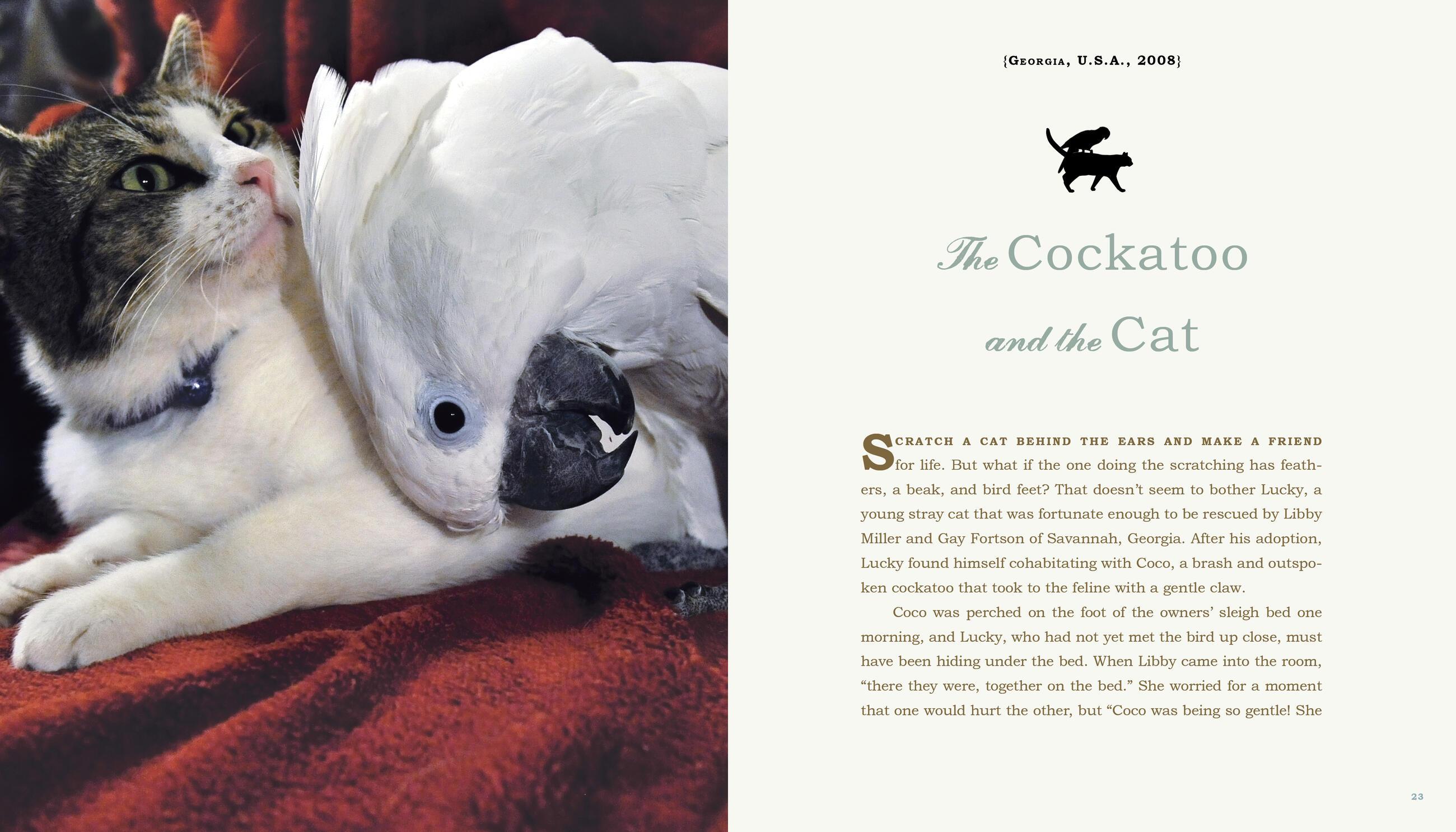 Beispielinhalt (Bild) Unlikely Friendships