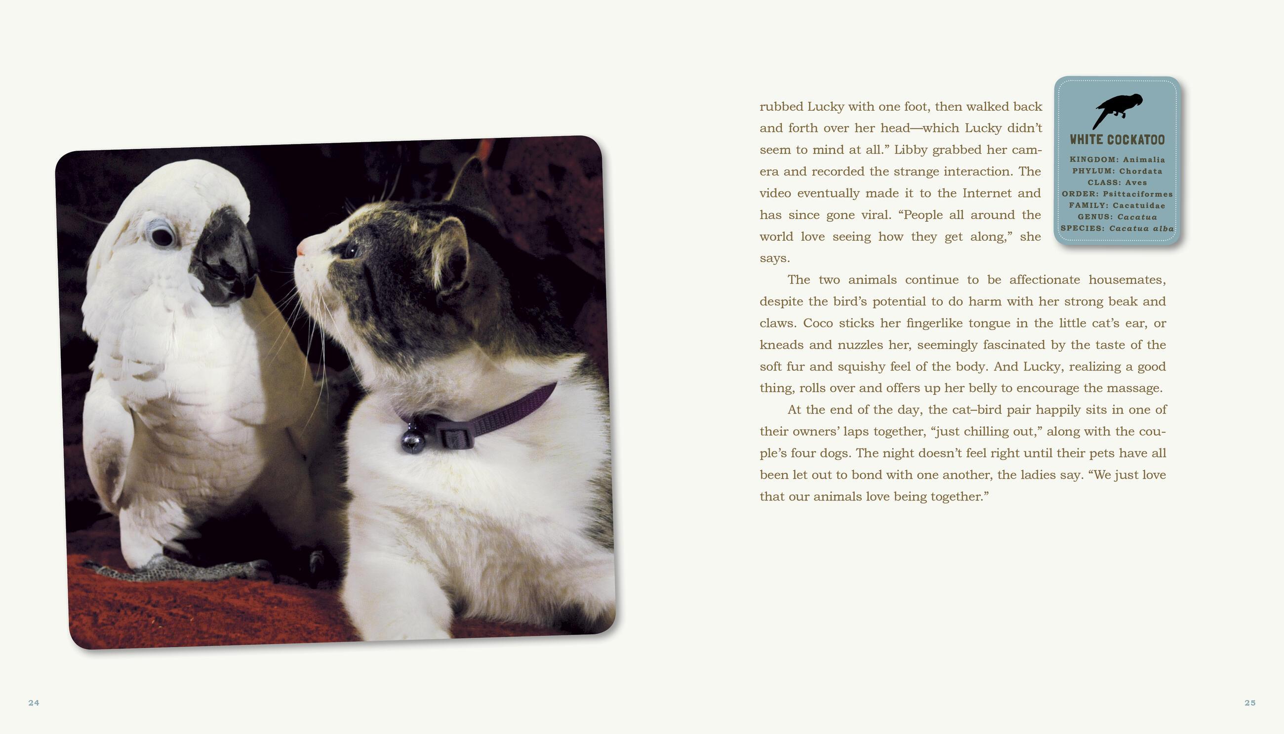 Beispielinhalt (Bild) Unlikely Friendships